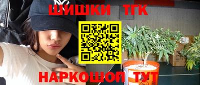 альфа пвп Заводоуковск