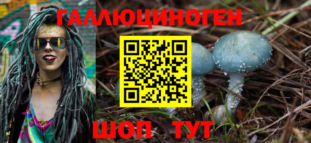 закладка  Галлюциногенные грибы Cubensis  Стерлитамак  Вход с VPN  Галлюциногенные грибы Psilocybe 
